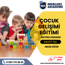 Çocuk Gelişimi Sertifikası Programı