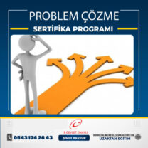 Problem Çözme Sertifika Programı