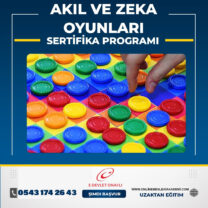 Akıl Zeka Oyunları Eğitimi Sertifika Programı