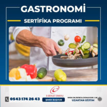 Gastronomi Eğitimi Sertifika Programı