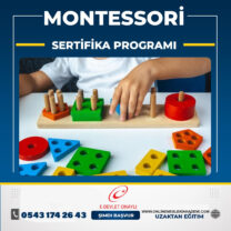 Montessori Eğitimi Sertifika Programı