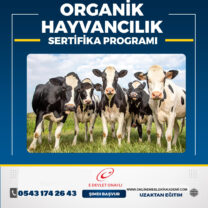 ORGANİK HAYVANCILIK