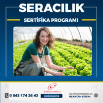 SERACILIK