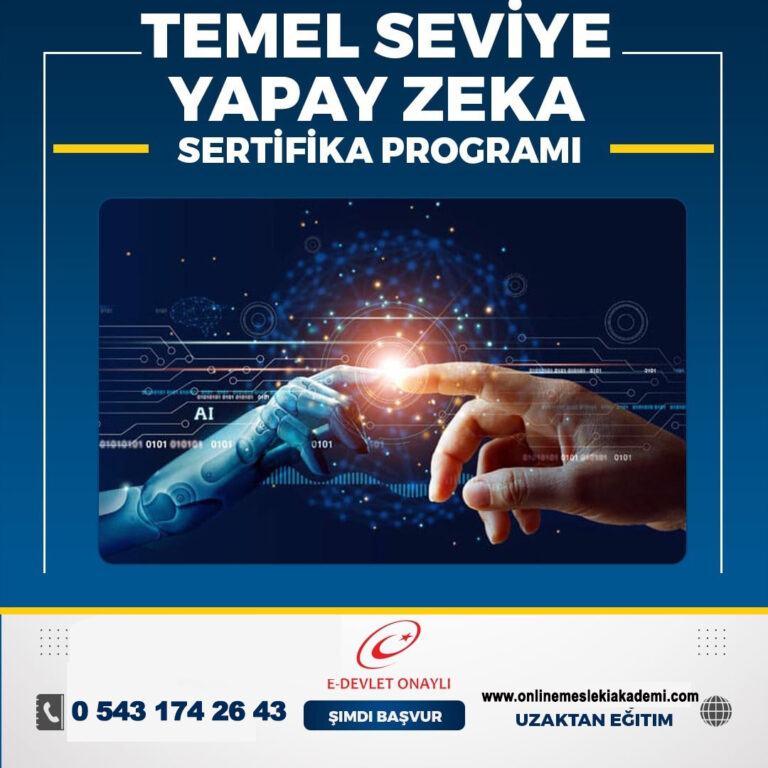 TEMEL SEVİYE YAPAY ZEKA - Onlinemeslekiakademi.com ...