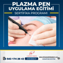 PLAZMA PEN UYGULAMA EĞİTİMİ