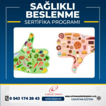 SAĞLIKLI BESLENME